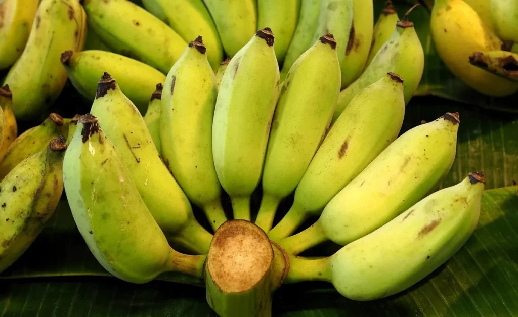 กล้วยดิบสมุนไพรรักษาเบาหวาน